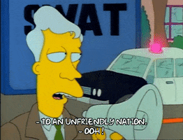 Season 1 GIF by The Simpsons
