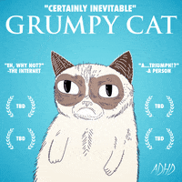 grumpy cat lol GIF by Animation Domination High-Def