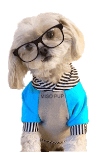 dog what Sticker by MISO PUP