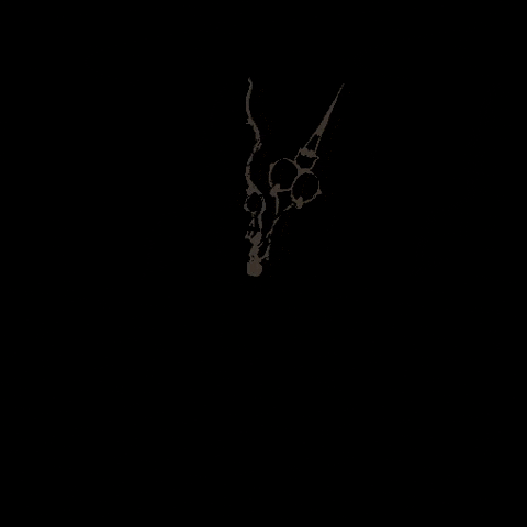 loschka giphygifmaker clockwise loschka GIF