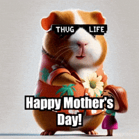 Guinea Pig Family GIF by Guinea Gambino