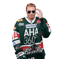 Del Pureemotion Sticker by Augsburger Panther Eishockey GmbH