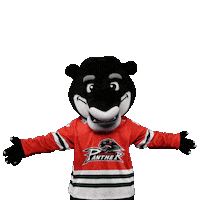 Hockey Mascot Sticker by Augsburger Panther Eishockey GmbH