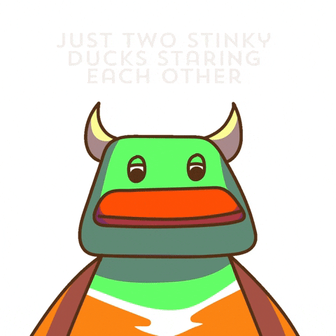 Ducks Staring GIF