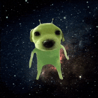 Space Dog GIF