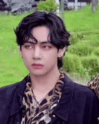 Btsv Thv GIF