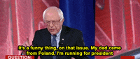 bernie sanders politics GIF