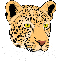 Cat Tattoo Sticker