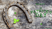 St Patricks Day Irish GIF by echilibrultau