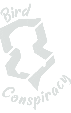 Dancing Sticker by Bird Conspiracy