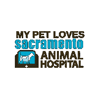 sacanimalhospital cat dog cats dogs Sticker