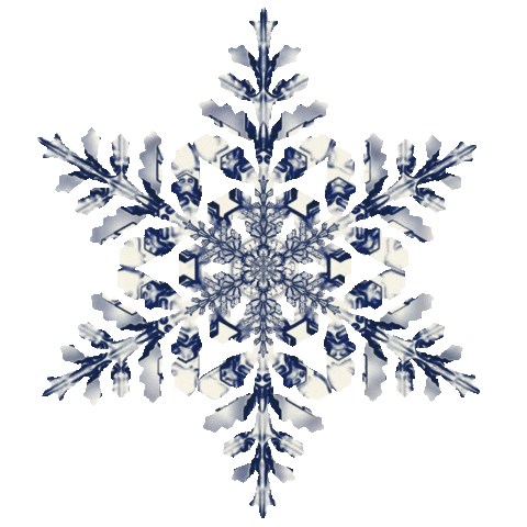 Snow Freezing Sticker by Feliks Tomasz Konczakowski