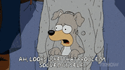 Episode 12 Homer Simpson Dog GIF by The Simpsons