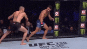 South Africa Fighting GIF by Don Madge