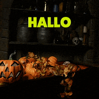 Happy Halloween GIF by MerlinEntertainments