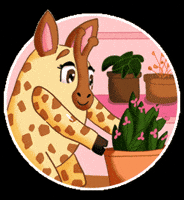 Fleur Jardin GIF