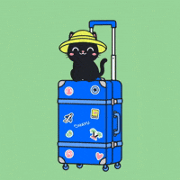 ohayu_esim cat travel vacation flying GIF