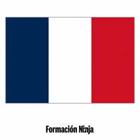 France Flag GIF by Formación Ninja
