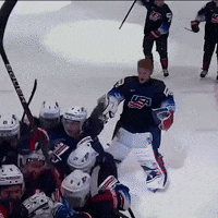 Ice Hockey America GIF by USA Hockey