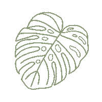 Plants Monstera Sticker