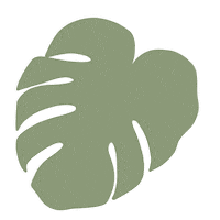 Plants Monstera Sticker