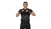 Mma Sticker by Rehasport