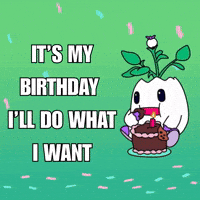 Happy Birthday Party GIF by Magic Eden
