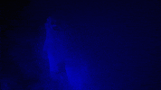 Drag Queen Halloween GIF by BouletBrothersDragula
