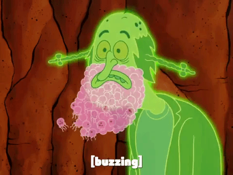 season 7 the curse of bikini bottom GIF by SpongeBob SquarePants