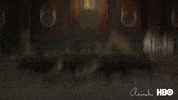 season 3 hbo GIF by Animals