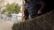 nbc premiere GIF by The Titan Games