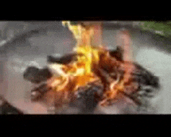 MVTurpin giphygifmaker GIF