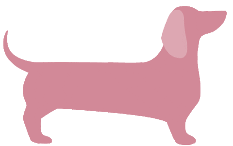 raumrevolution giphyupload dachshund dackel raumrevolution Sticker