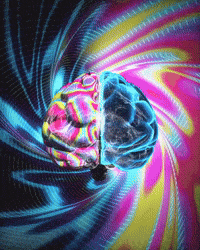 ImagiNah aesthetic brain vaporwave cyberpunk GIF