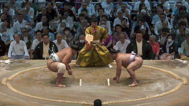 TZ85 giphyupload sumo 2023 nagoya basho hokuseiho GIF