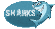 Sharks Cheerleading Sticker by VfB Fallerlsleben e.v.