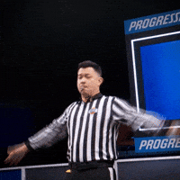 Referee Ref GIF by Puppy Bowl