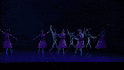Nutcracker GIF by English National Ballet