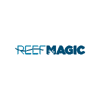 Great Barrier Reef Magic Sticker by Experience Co