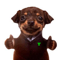 T1 Sticker by TALLER 1 MX