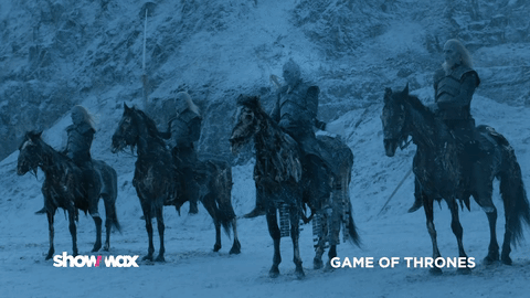 GIF by Showmax