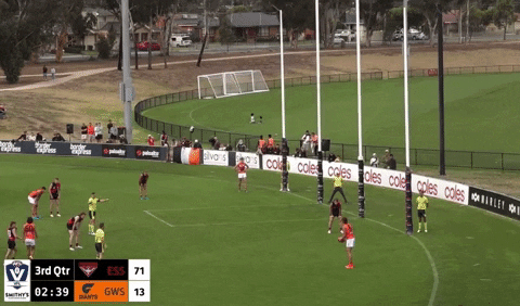 beartorius vfl afl giants gws GIF