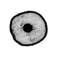 World Trip Sticker by Oklahoma Fungi
