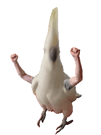 Happy Dance Sticker
