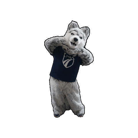 madison-college giphygifmaker dancing sweet adorable Sticker