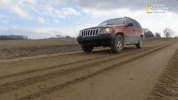 the incredible dr pol season 12 episode 6 GIF by Nat Geo Wild 