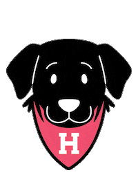 Sasha Sticker by Harvard Alumni Association