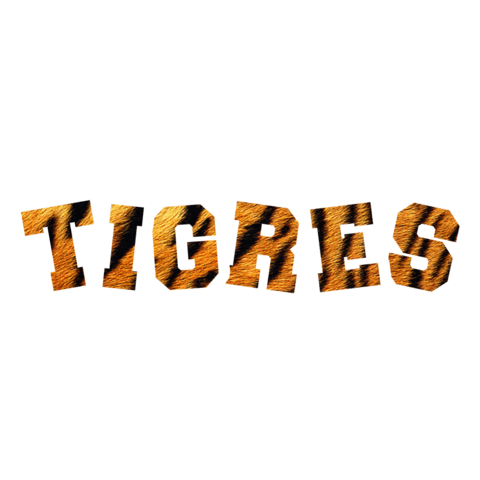 educaÃ§Ã£o Sticker by Tigrinhos e Golden Tigers