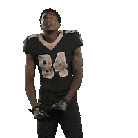 Football Sport Sticker by New Orleans Saints