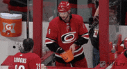 Ice Hockey Sport GIF by NHL